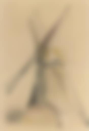 Fen draining windmill (preview)