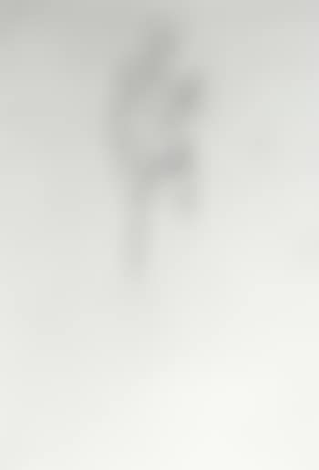 Standing male nude (preview)