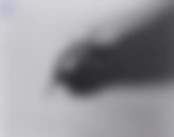 Self portrait (preview)