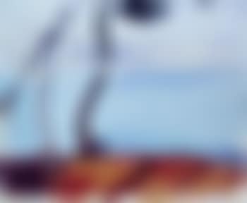 Pins pres du lac (preview)
