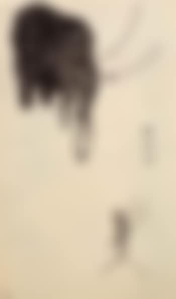 Composition 5 (preview)