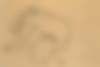 Reclining female nude (preview)