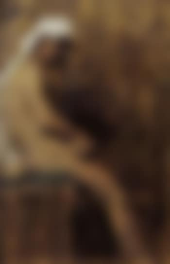Male nude (preview)