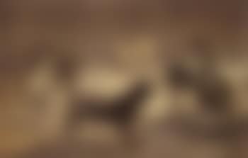 Bull scene (preview)