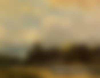 River landscape in summer (preview)