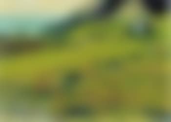 Erlenbach pastures (preview)