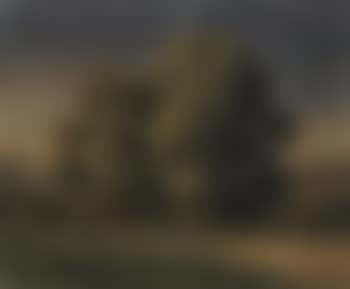Group of trees (preview)