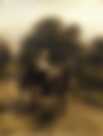 Riding tour on a sunny afternoon (preview)