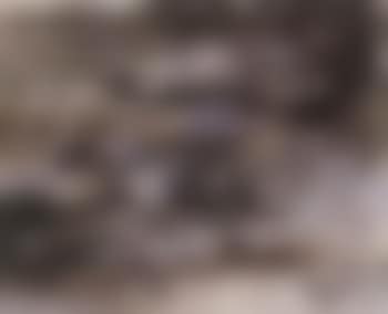 Composition (preview)