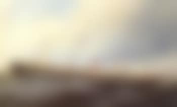 Portrait of the steamer 'Mississippi' (preview)