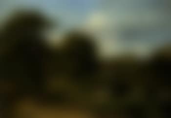 Pastoral landscape (preview)