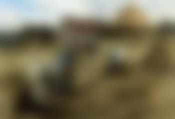 Les glaneuses (preview)