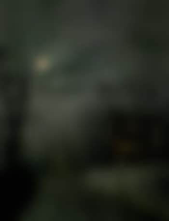 Winter moonlight (preview)
