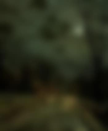 Near Leahurst, Kent (preview)
