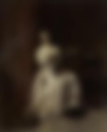 An elegant lady with a parrot (preview)