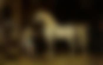 Circus girl grooming the horses (preview)
