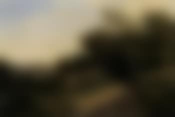 Summer landscape (preview)