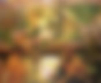 By the lotus pond (preview)