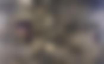 Untitled (preview)