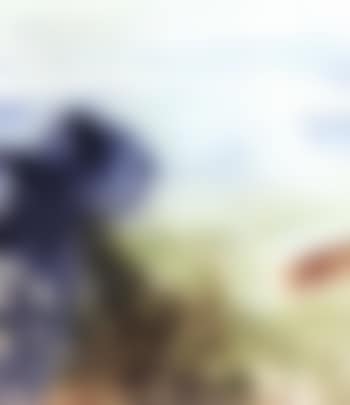 Composition (preview)