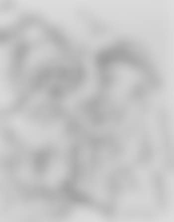 Figures chatting (preview)