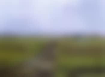 Extensive landscape with figures on field-path (preview)