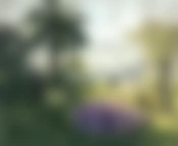 Cannes, la Croisette (preview)