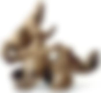 Rabbit (preview)