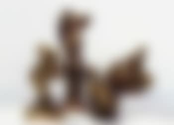 Lady at her toilet (preview)