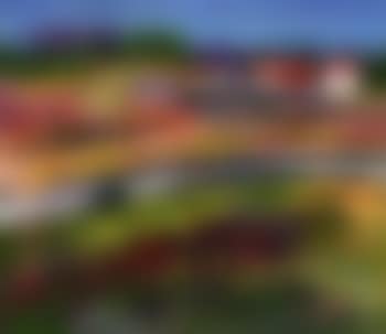 Summer (preview)