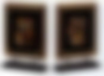 Two in one (preview)