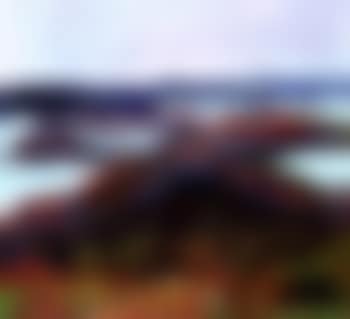 Coastal landscape - Flatskar (preview)