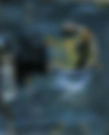 Lute player in boat (preview)