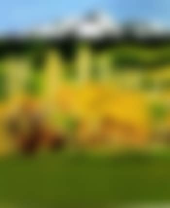 Mt Buller (preview)