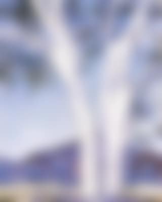 Chost gum (preview)