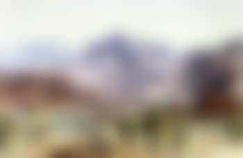 Macdonnell rangers (preview)