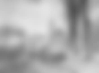Canal, Amersfoort, Holland (preview)