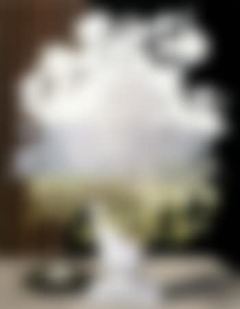 Plagiat (preview)