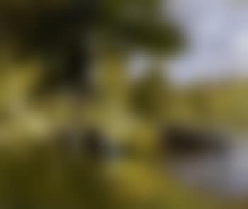 Peniches a Saint-Mammes (preview)