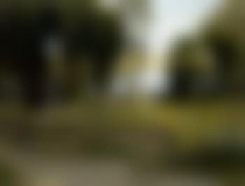 Paysage pres de Fontainebleau (preview)