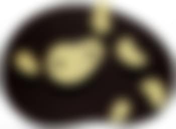 Semence d'etoile (preview)