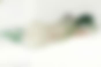 Untitled, reclining nude (preview)
