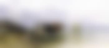 Boy with cows and sheep by mountain lake (preview)