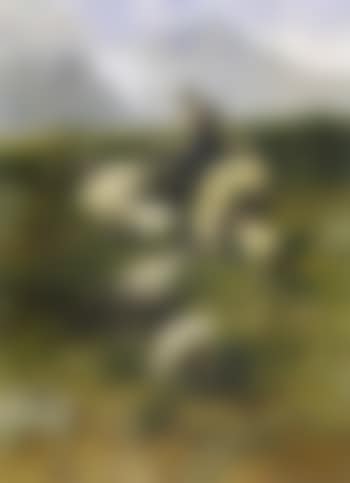 Girl with herd of sheep in mountains (preview)