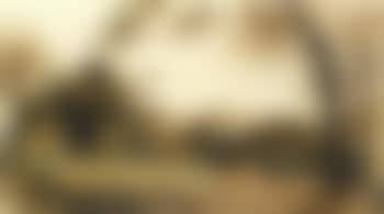 Distant view of Windsor Castle (preview)