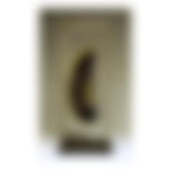 Cocoon (preview)