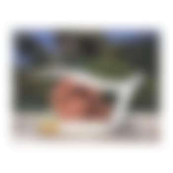 Tulip and smoking cigarette (preview)