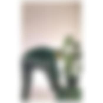 Self-portrait with plant (preview)