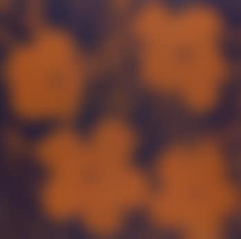 Flowers (preview)