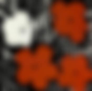 Flowers (preview)